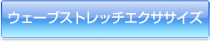 ウェーブストレッチエクササイズ
